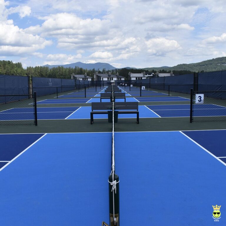 owls courts